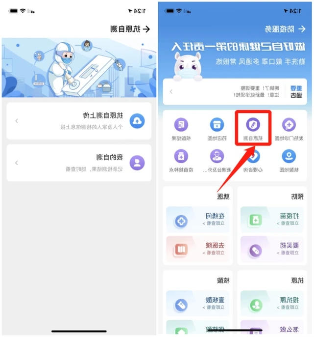5.webp