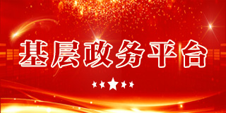 基层政务平台