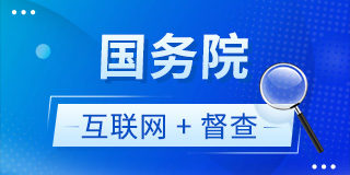 国务院互联网+督查