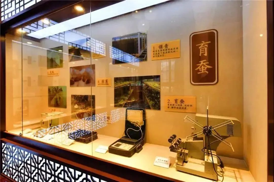 图片5