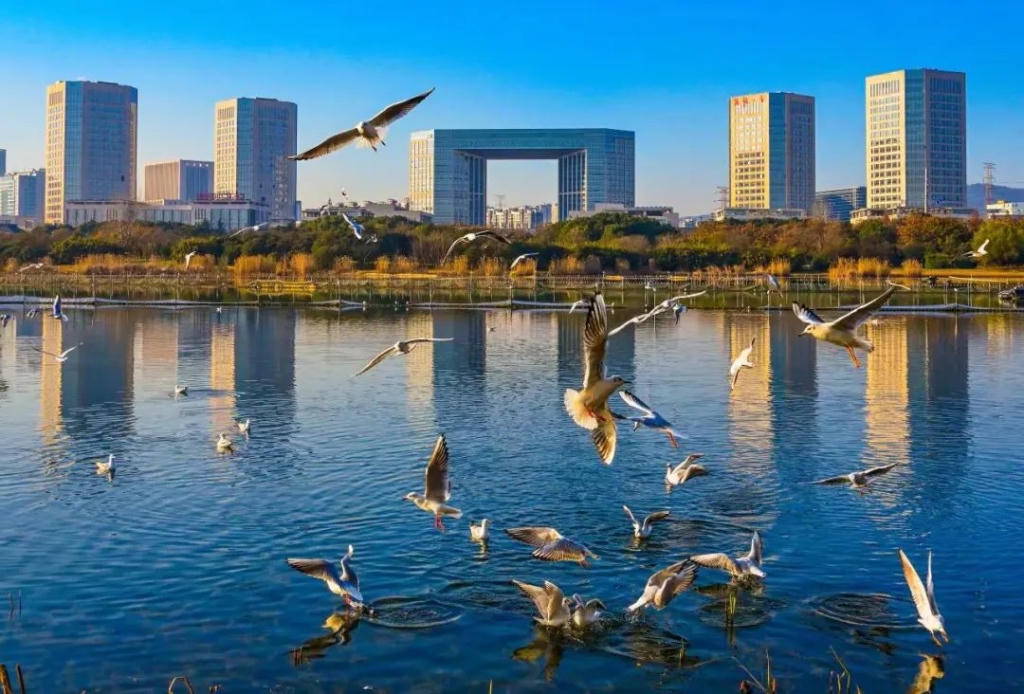 大力推进标准体系建设