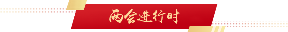 两会进行时