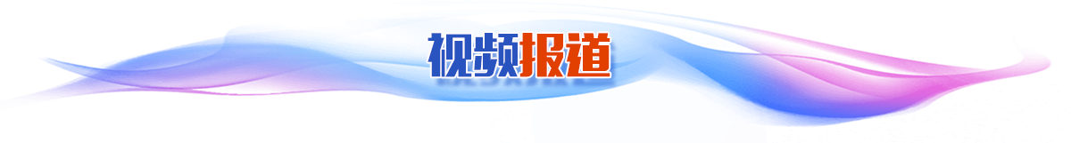 视频报道